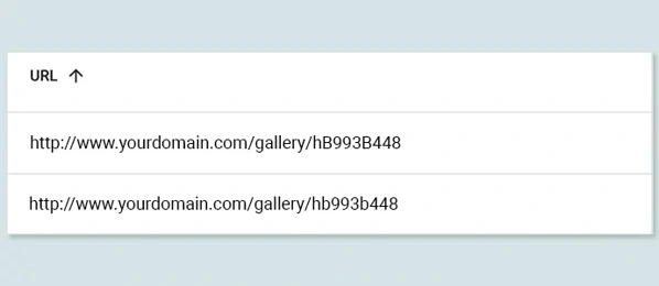 Duplicate pages with same URL and letter case variations.