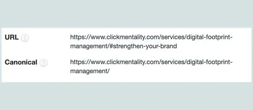 Showing how to use the canonical to determine the priority page.