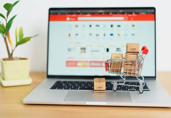 shopping cart for an online shop